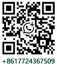 WhatsApp 二维码
